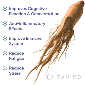 How Does Ginseng Root Work Its Health Magic?