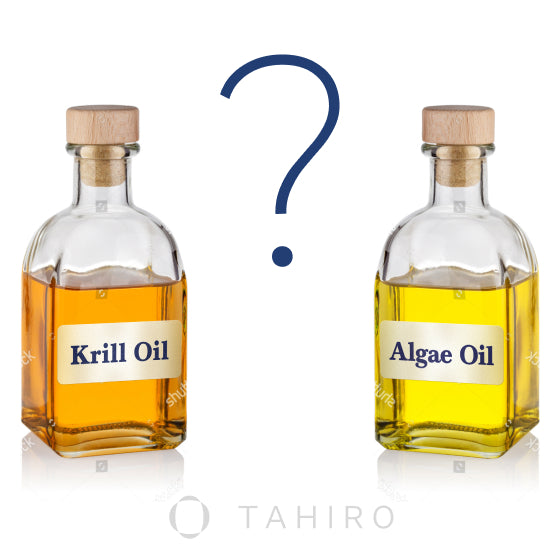 Battle of the Ocean Oils: Krill vs. Algae, Who Wins