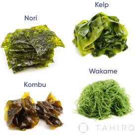 Seas the Day: Finding the Best Algae Omega-3!