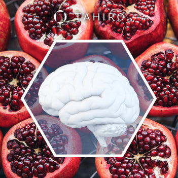 The Benefits of Pomegranate In The Brain