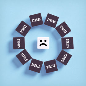 How can anxiety cause cognitive impairments & dysfunction?