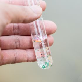 Microplastics and Cognitive Performance