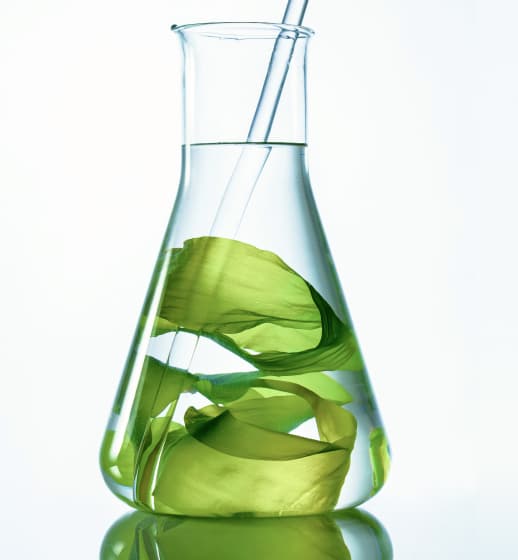 Fish Oil Giving You Heartburn? Get Omega-3 Without Fish Burps or an Upset Stomach
