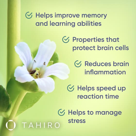 Brahmi: Your Brain's Best Friend for Stress Relief