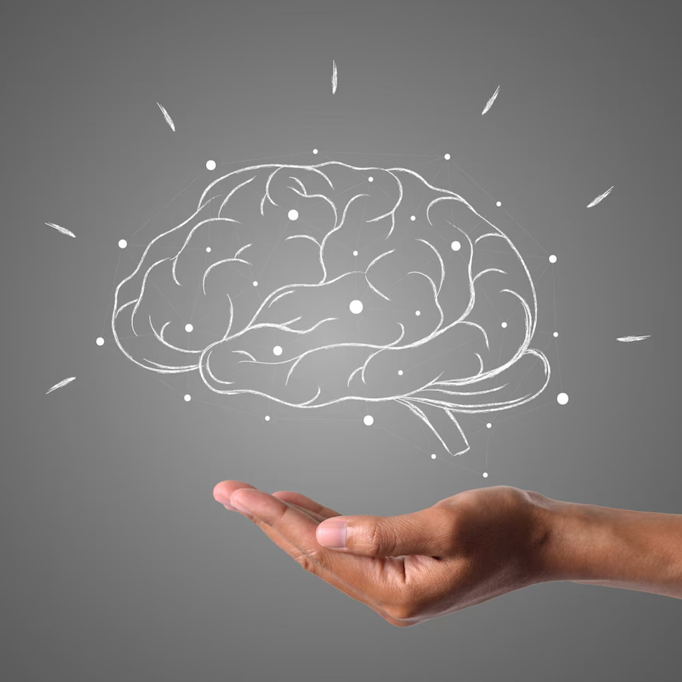 Best Omega 5 Supplements in 2026: An Expert Comparison