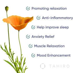 How Does California Poppy Eschscholzia Benefit Your Health