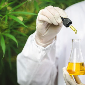 What are the Health Benefits of Hemp Oil?