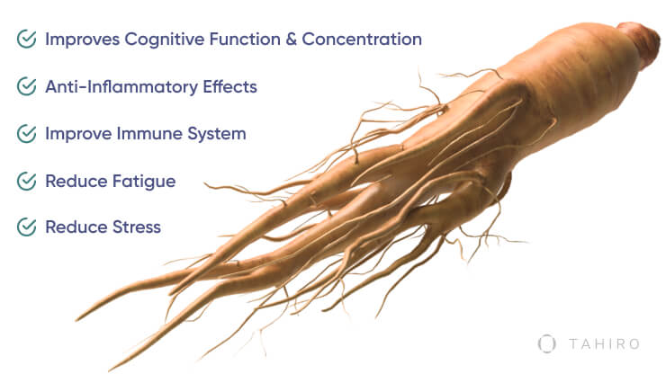 What are the benefits of ginseng root?
