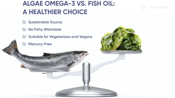fish oil vs algae Which Omega is best for brain development?