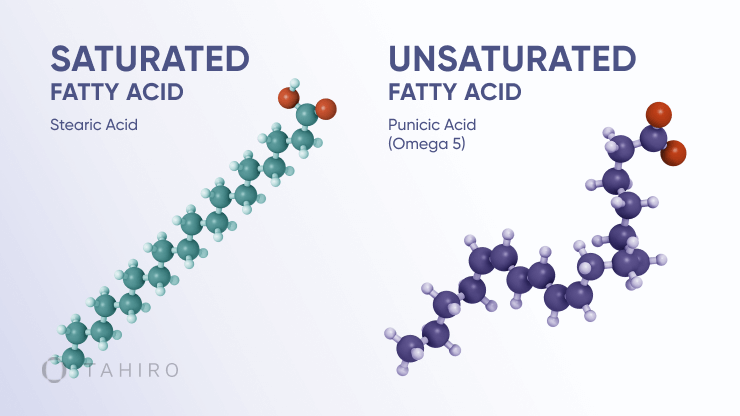 Saturated vs unsaturated fatty acids